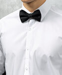 Bow tie