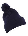 Cuffed Knit Beanie with Pom Pom Hat