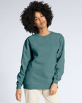 Adult Crewneck Sweatshirt