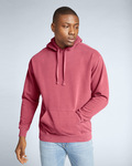 Adult Hooded Sweatshirt