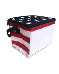 Patriotic Cooler Bag