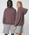 Unisex Cooper dry hoodie sweatshirt (STSU797)